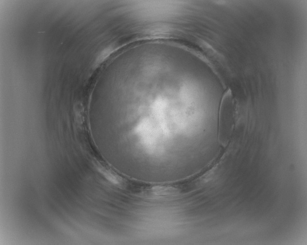 X0000063511449200602101913