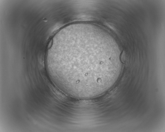 X0000063511451200602101913