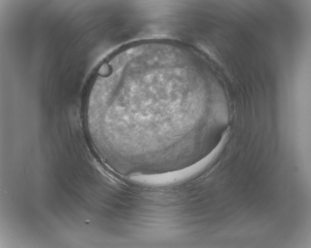 X0000063511452200602101913