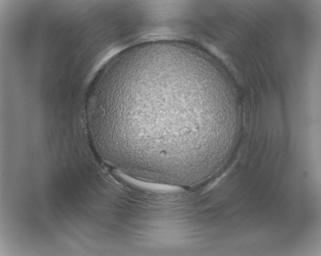 X0000063511453200602101913