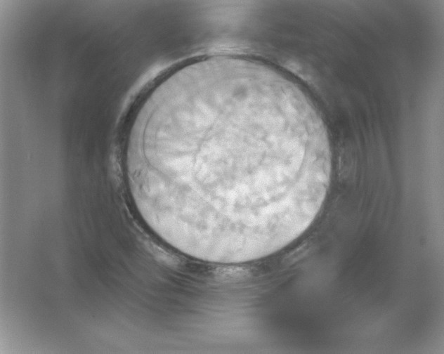 X0000063511454200602101913