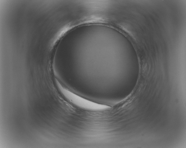 X0000063511455200602101913