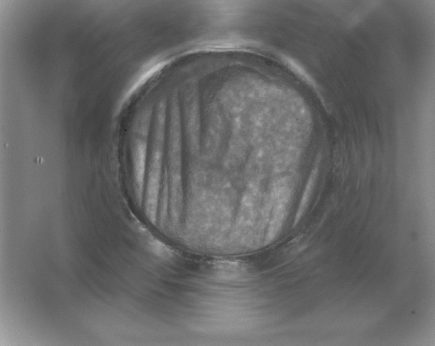 X0000063511456200602101913