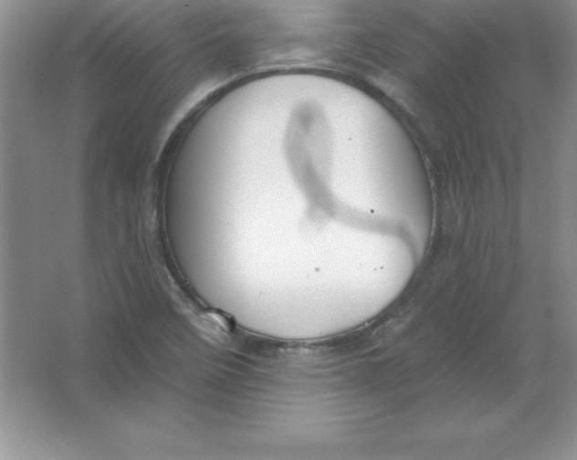 X0000063511458200602101913