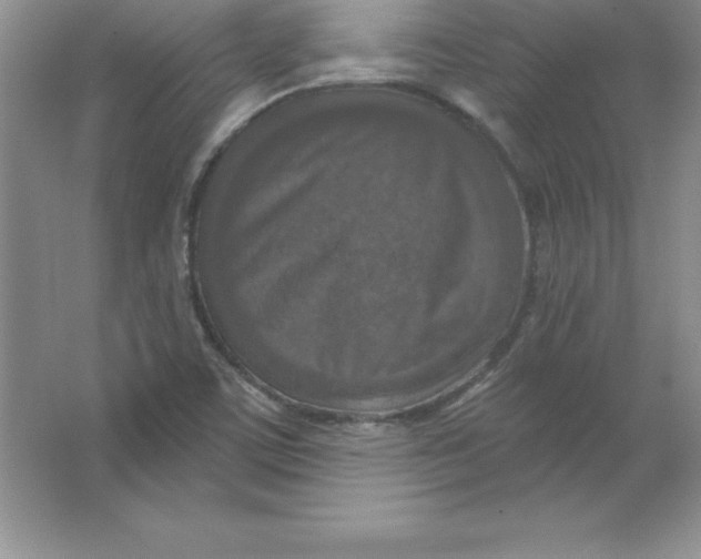 X0000063511459200602101913