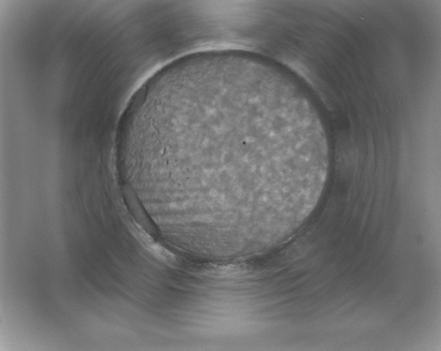 X0000063511460200602101913