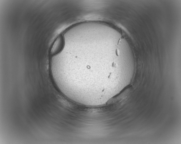 X0000063511461200602101913