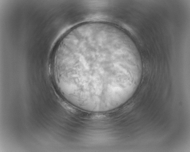 X0000063511462200602101913