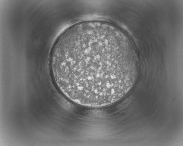 X0000063511463200602101913