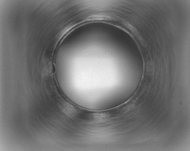 X0000063511465200602101913