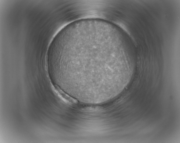 X0000063511468200602101913