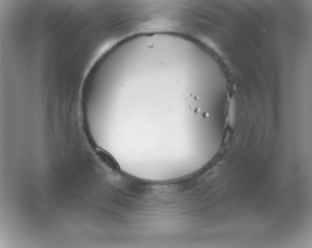 X0000063511469200602101913