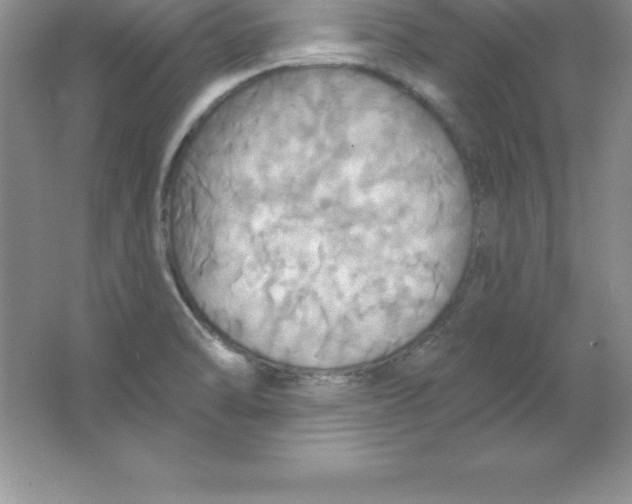 X0000063511470200602101913