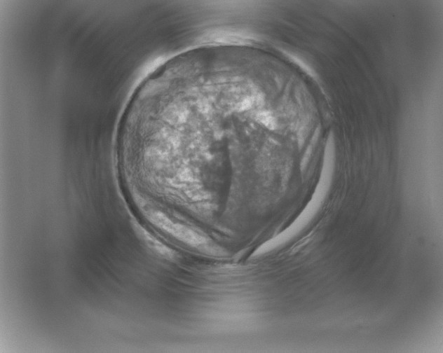 X0000063511471200602101913