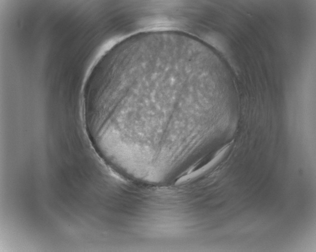 X0000063511472200602101913