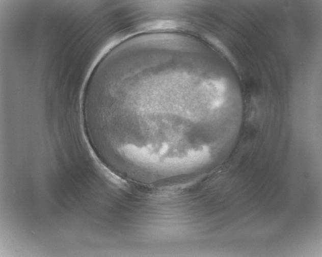 X0000063511475200602101912