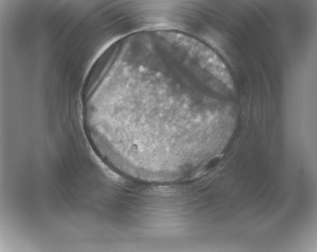 X0000063511476200602101912