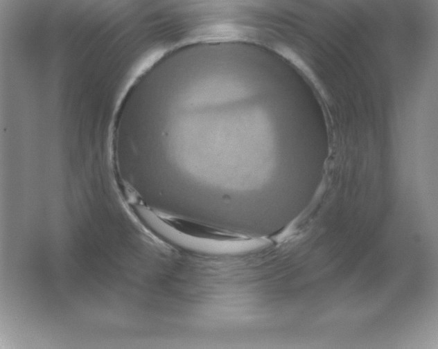 X0000063511477200602101912