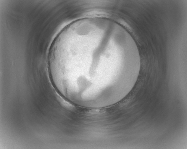 X0000063511478200602101912