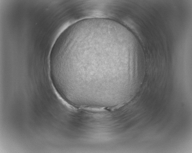 X0000063511479200602101912