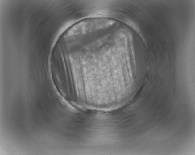 X0000063511480200602101912