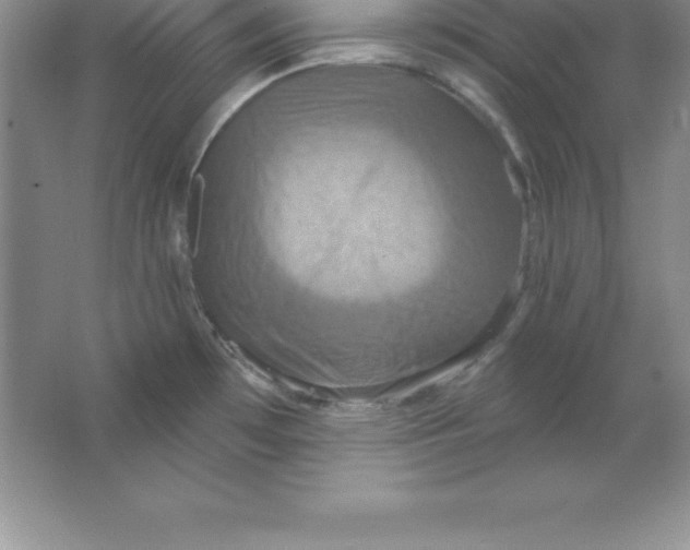 X0000063511481200602101912