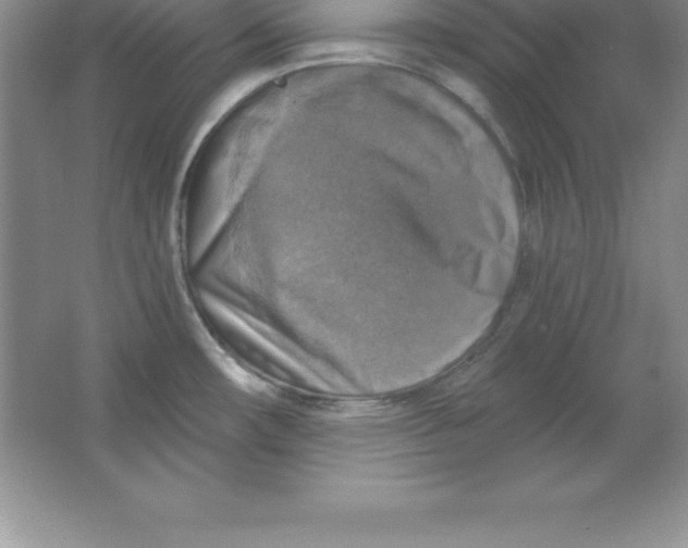 X0000063511482200602101912