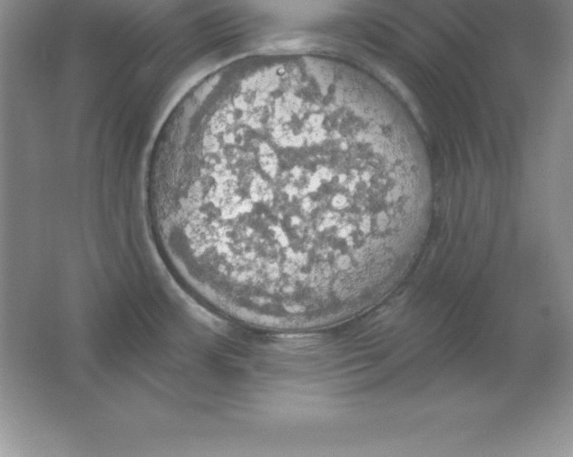 X0000063511483200602101912