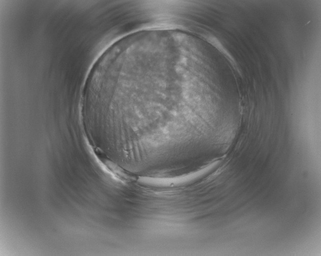 X0000063511484200602101912