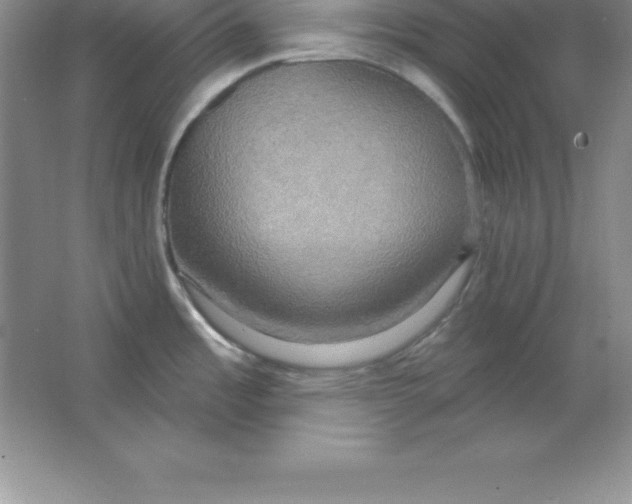 X0000063511485200602101912