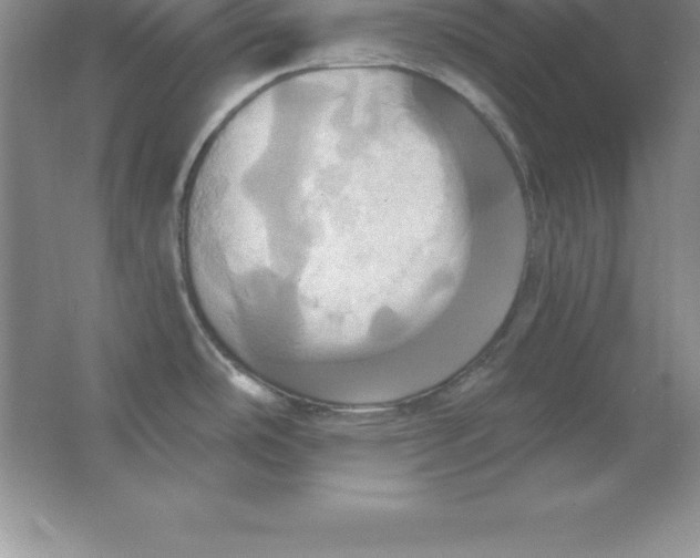 X0000063511486200602101912