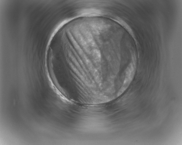 X0000063511488200602101912