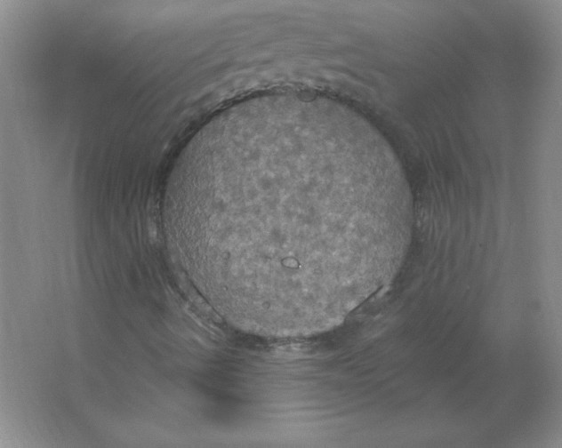 X0000063511490200602101911