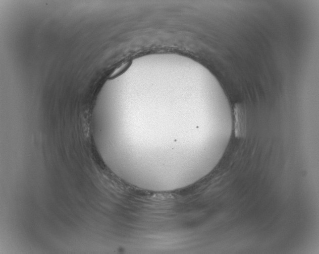 X0000063511491200602101911