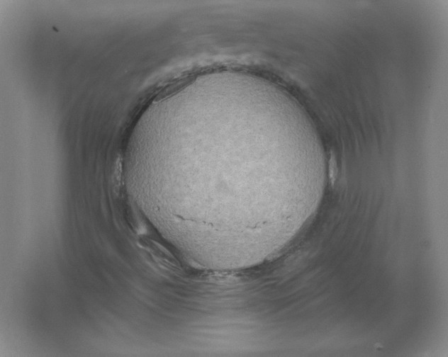 X0000063511492200602101911