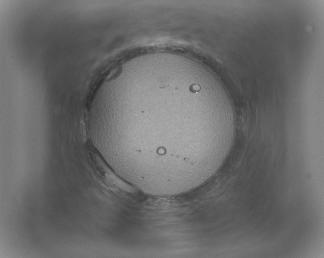 X0000063511493200602101911