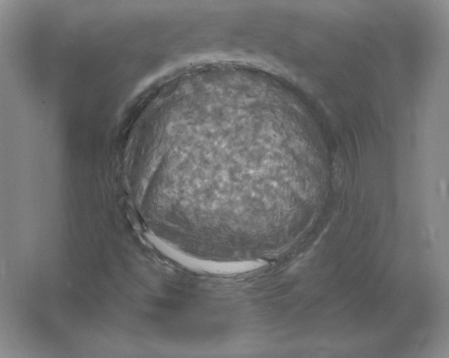 X0000063511494200602101912