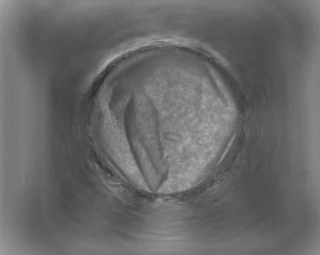 X0000063511496200602101912