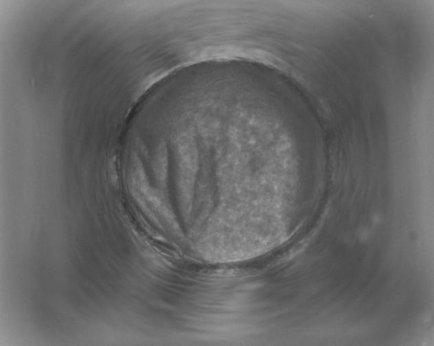 X0000063511497200602101912