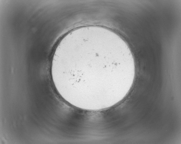 X0000063511498200602101912