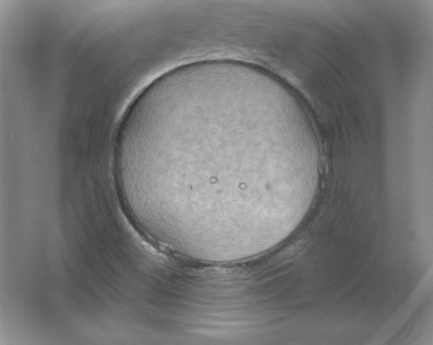 X0000063511500200602101912