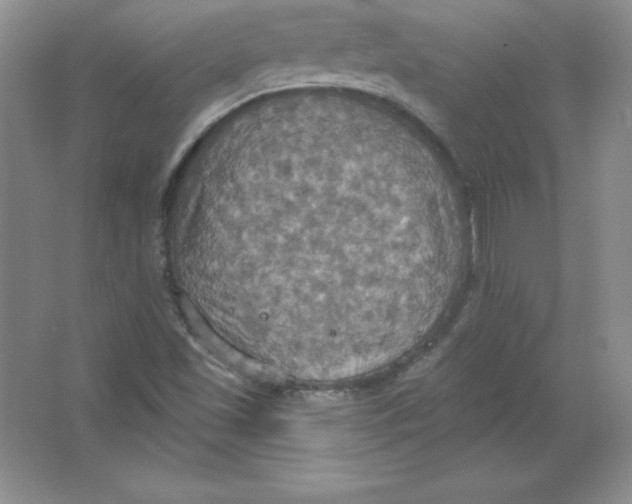 X0000063511501200602101912