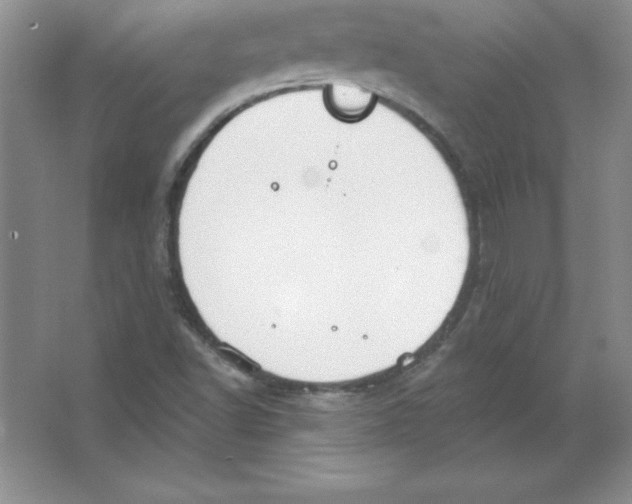 X0000063511502200602101912