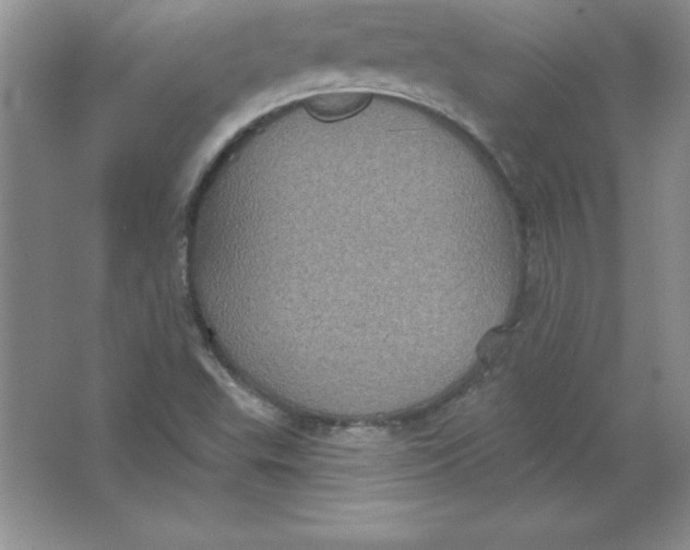 X0000063511503200602101912