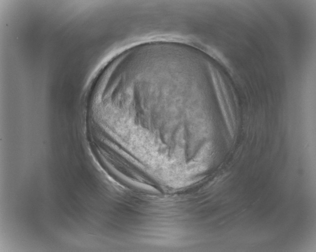 X0000063511504200602101912