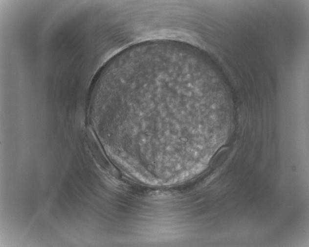 X0000063511505200602101912