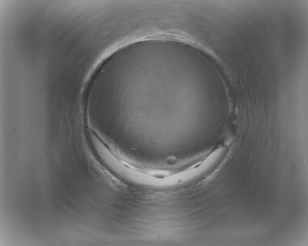 X0000063511506200602101912