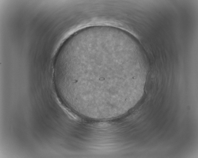 X0000063511507200602101912