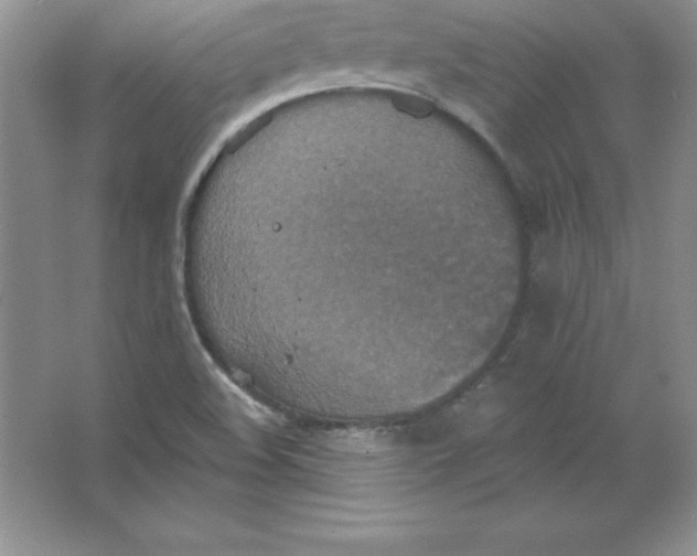 X0000063511508200602101912