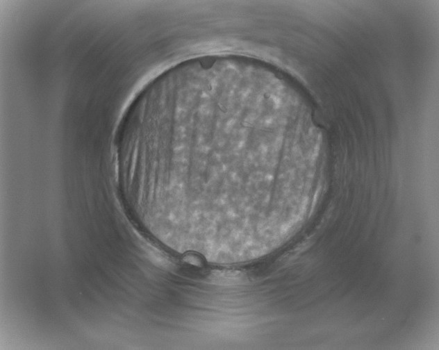 X0000063511509200602101912